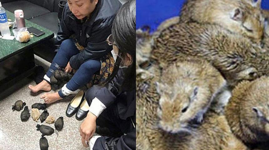 İnanılmaz! Pantolonundan tam 24 tane &ccedil;ıktı!