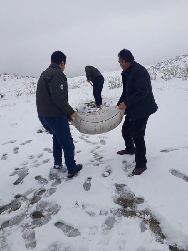 Ağır kış şartlarında yaban hayvanları için yem