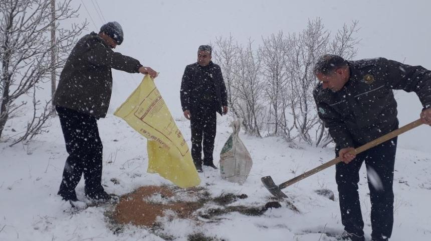 Ağır kış şartlarında yaban hayvanları i&ccedil;in yem