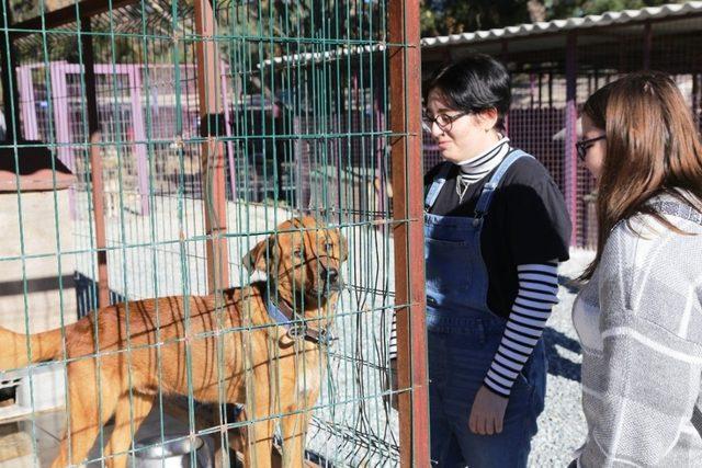 Öğrencilerden geçici hayvan bakım merkezine ziyaret