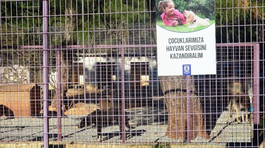 &Ouml;ğrencilerden ge&ccedil;ici hayvan bakım merkezine ziyaret