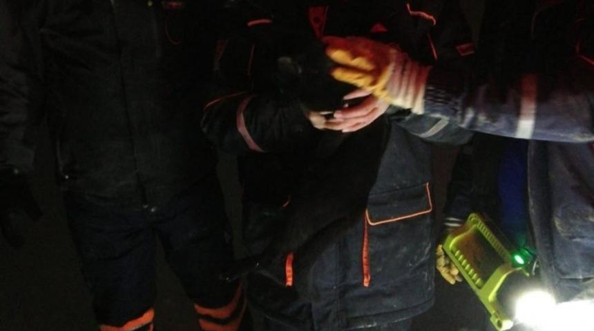 Taşocağı&rsquo;nda kum silosunda mahsur kalan kedi kurtarıldı