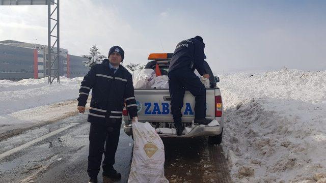 Belediye ekipleri doğada yaşayan hayvanlar için yem bıraktı