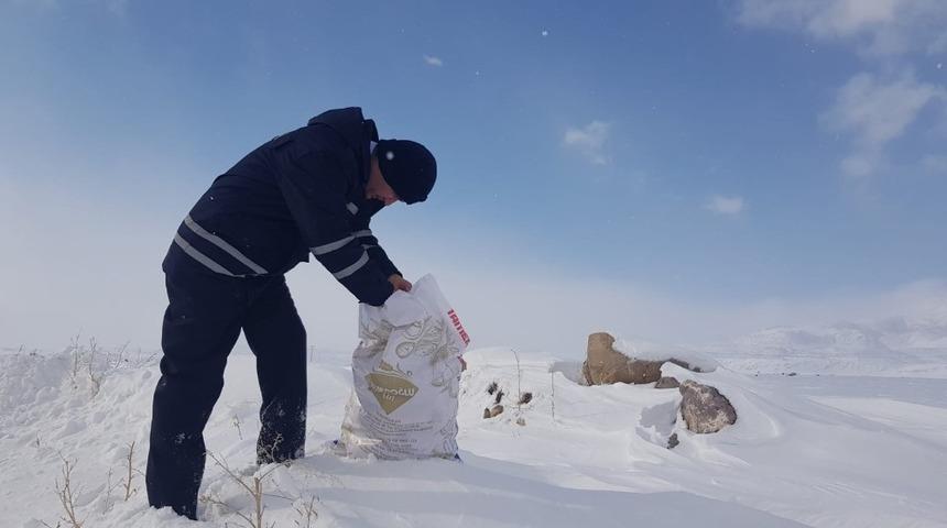 Belediye ekipleri doğada yaşayan hayvanlar i&ccedil;in yem bıraktı