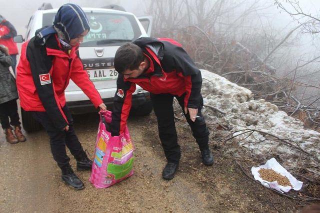 Hayvanlar için yiyecek bırakıp, sağlık durumlarını kontrol ettiler