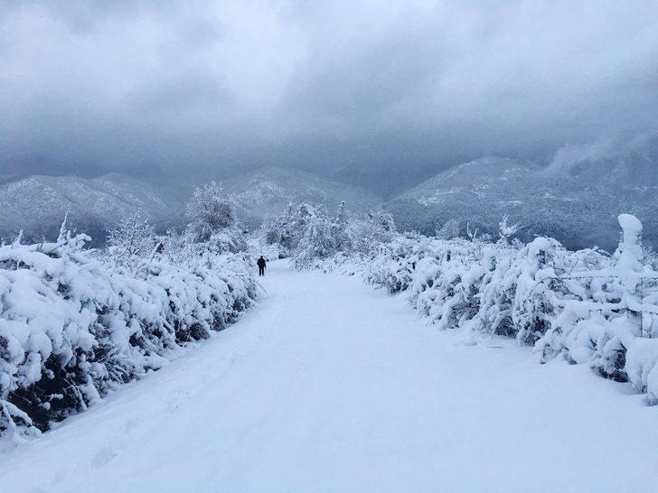 Yenice’de kart postallık manzaralar oluştu G2