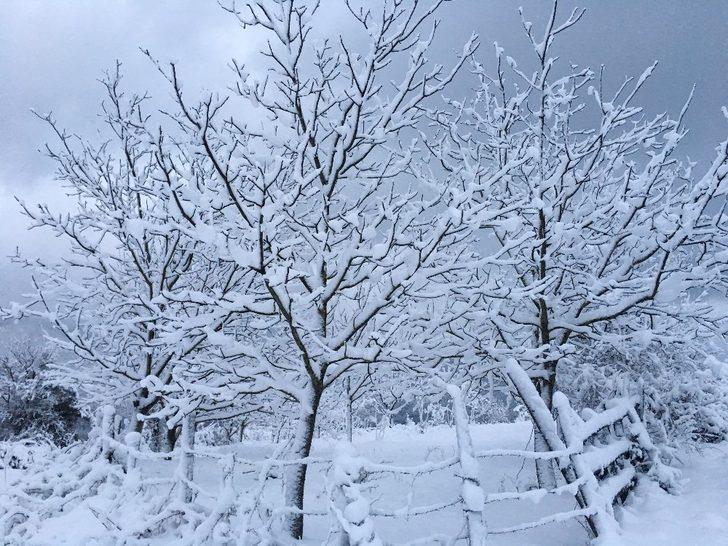 Yenice’de kart postallık manzaralar oluştu G3