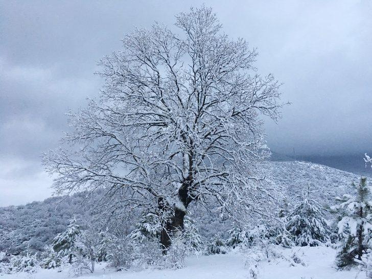 Yenice’de kart postallık manzaralar oluştu G5