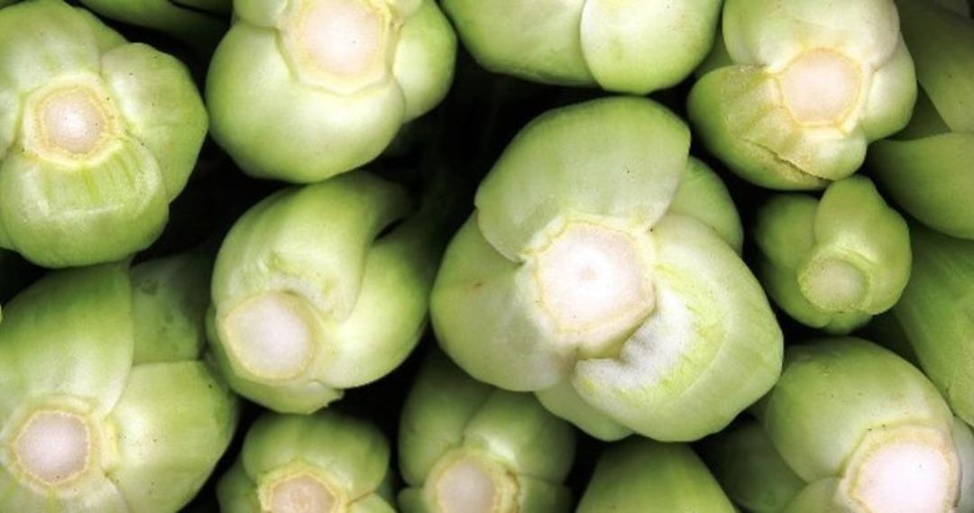 &Ccedil;&ouml;pe atıyoruz ancak hazine gibi kıymetli! Faydası &ouml;yle &ccedil;ok ki...