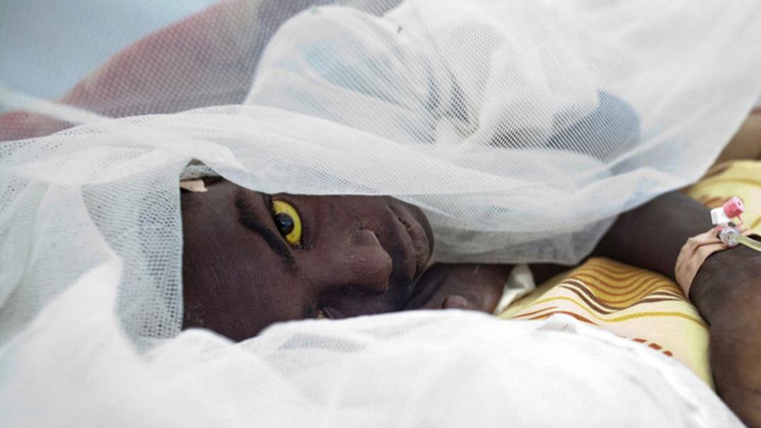 2019 yılında insanlığı tehdit eden en b&uuml;y&uuml;k tehlike a&ccedil;ıklandı