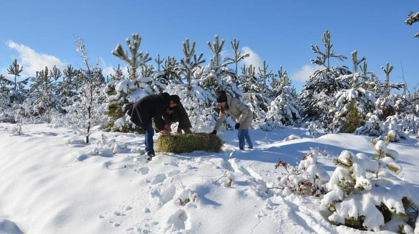 Eskişehir’de yaban hayvanları için doğaya yem bırakıldı