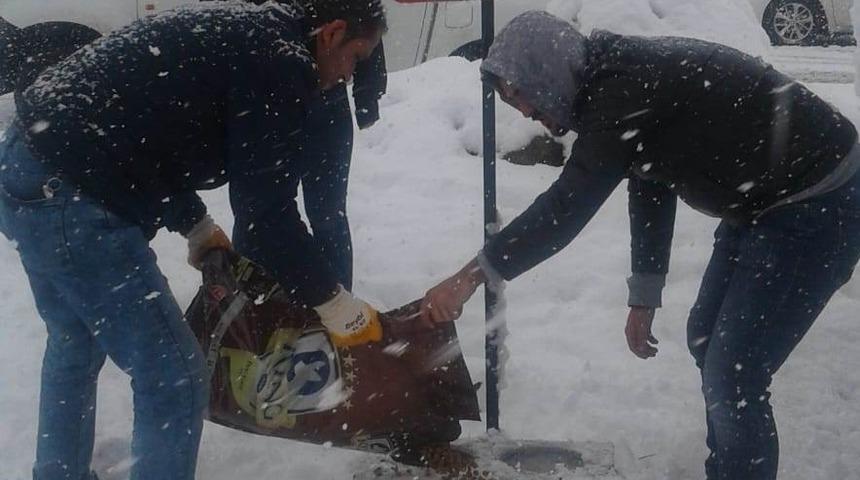 İzmit sokak hayvanlarına bakıyor