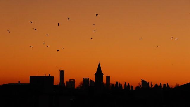 İstanbul'da kış güneşi ile birlikte gelen renk cümbüşü