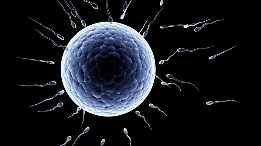 D&uuml;nya bunu konuşuyor! Kadınlar sperm bağış&ccedil;ılarına para &ouml;d&uuml;yor