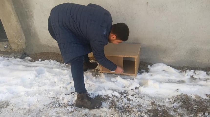 Hisarcıklı hayvan severlerden 22 kedi evi