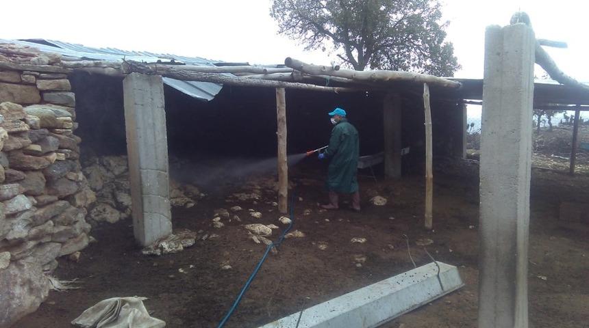 K&ouml;pr&uuml;başı&rsquo;nda ağıllar dezenfekte ediliyor