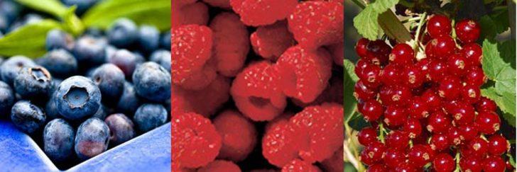 Frambuazlı, &Ccedil;ilekli Tarifler