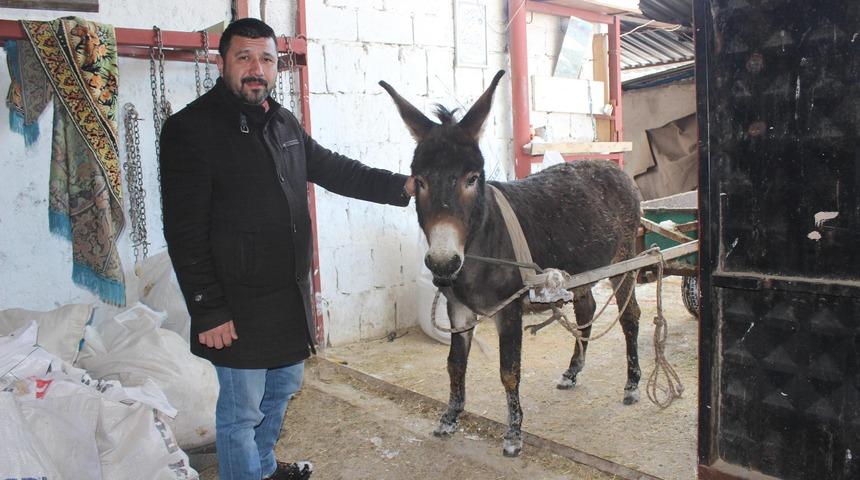 Kayseri&rsquo;de akıllı eşek 'Keko' verilen komutları yerine getiriyor