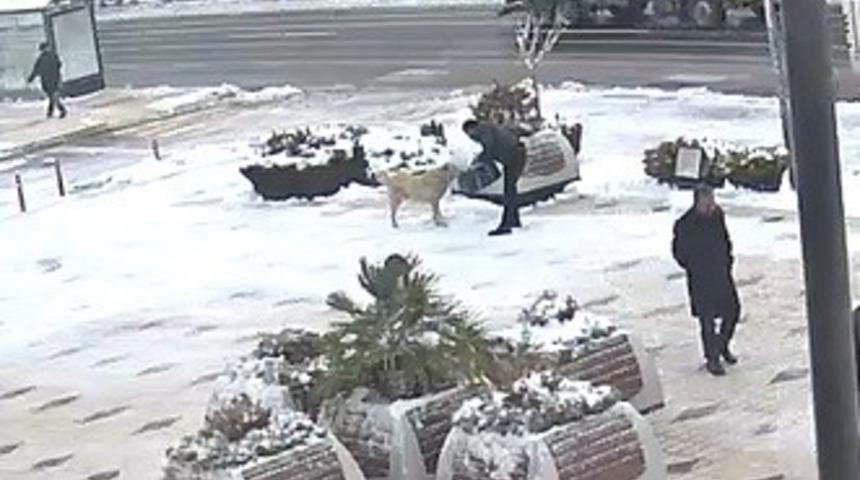 Elazığ’da örnek davranış, kahvaltısını köpeğe verdi