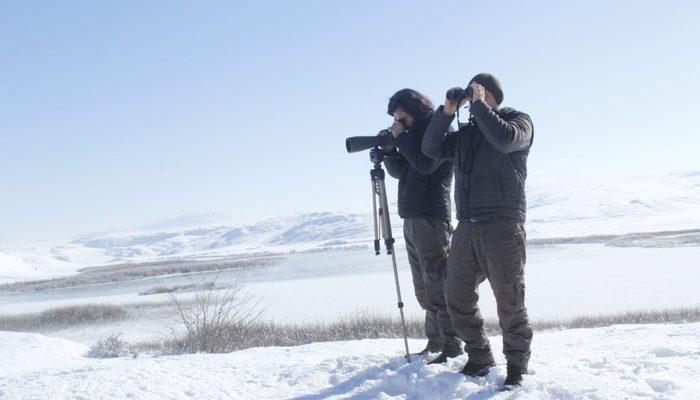 Tödürge ve Ulaş göllerinde kış ortası kuş sayılı yapıldı Sivas Haberleri