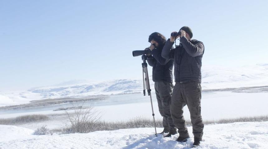 T&ouml;d&uuml;rge ve Ulaş g&ouml;llerinde kış ortası kuş sayılı yapıldı