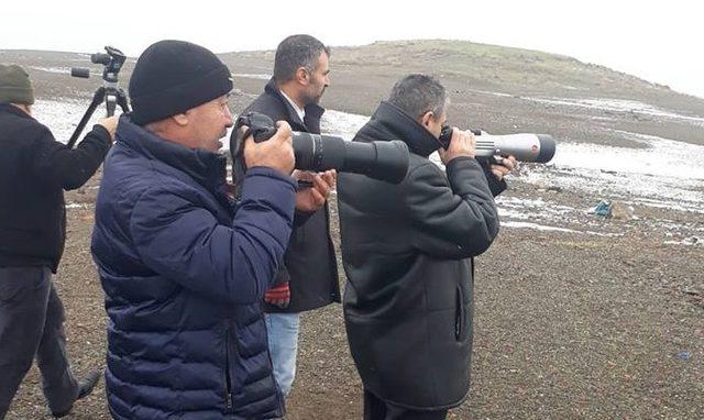 Elazığ’da kış ortası kuş sayımı yapıldı