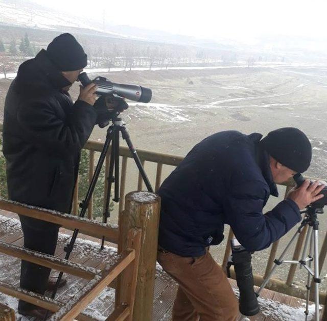 Elazığ’da kış ortası kuş sayımı yapıldı