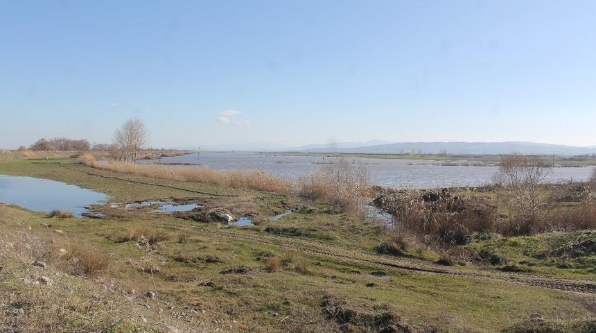 Pompalar yetersiz kalınca, tarlalar su altında kaldı