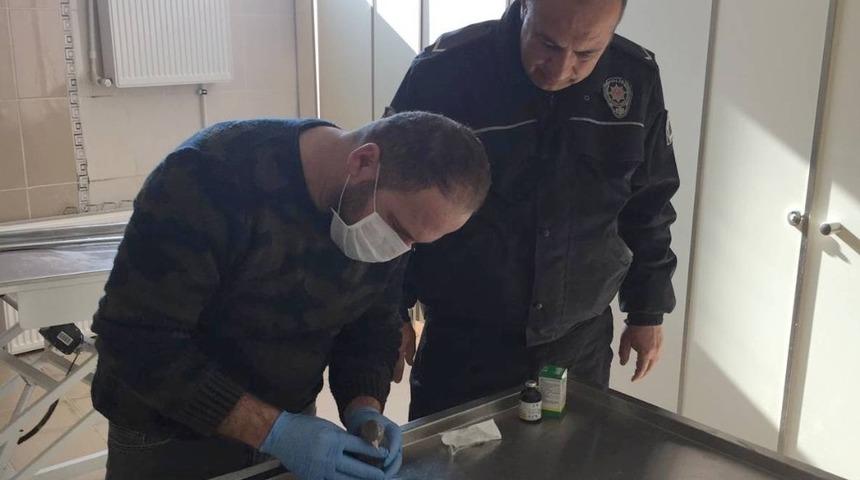Yaralı g&uuml;vercini polis kurtardı
