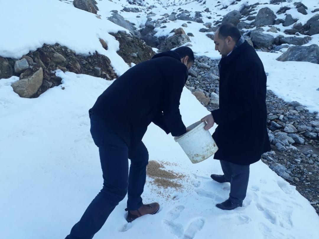 Şehit yakınları doğaya yem bıraktı