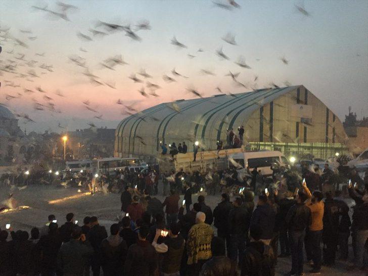 Şanlıurfa'da gökyüzüne 'güvercin döküldü'  G1