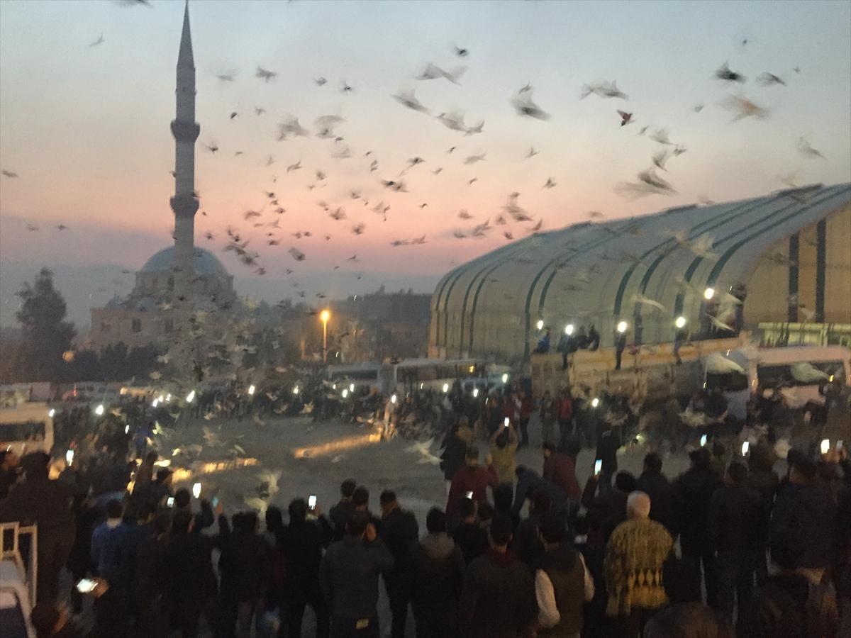 Şanlıurfa'da g&ouml;ky&uuml;z&uuml;ne 'g&uuml;vercin d&ouml;k&uuml;ld&uuml;' 