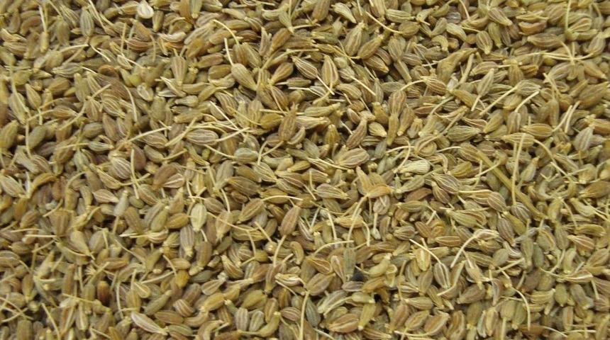 Ege&rsquo;den 149 &uuml;lkeye hububat, bakliyat, yağlı tohumlar, bitkisel yağ ve baharat ihra&ccedil; edildi