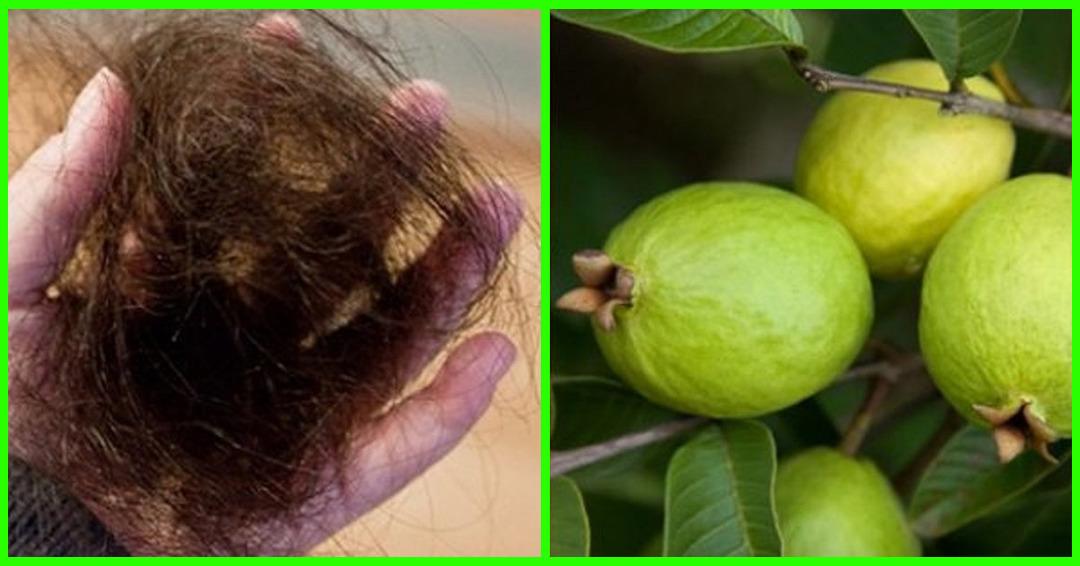 Sağlıklı sa&ccedil;larının sırrı bu p&uuml;f noktalarında yatıyor! Bu yapraklar sa&ccedil; d&ouml;k&uuml;lmesini y&uuml;zde y&uuml;z durduruyor