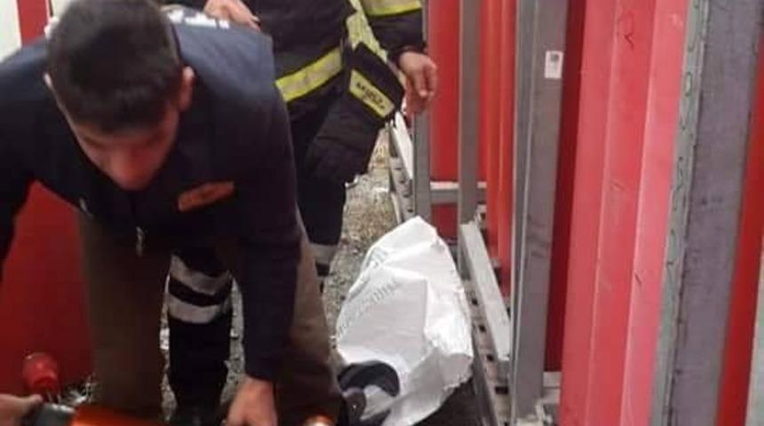 Paletlere sıkışan k&ouml;peği itfaiye ekipleri kurtardı