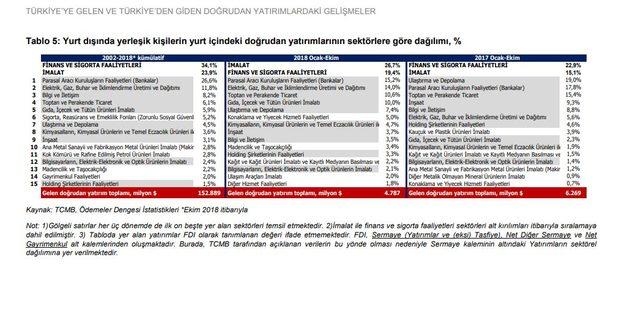 Dış yatırımlarda Hollanda lider, en çok yatırım hizmetlerde 