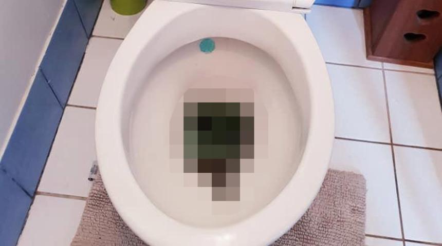Sabah tuvalete girdi! Gördüğü manzara karşısında kanı dondu