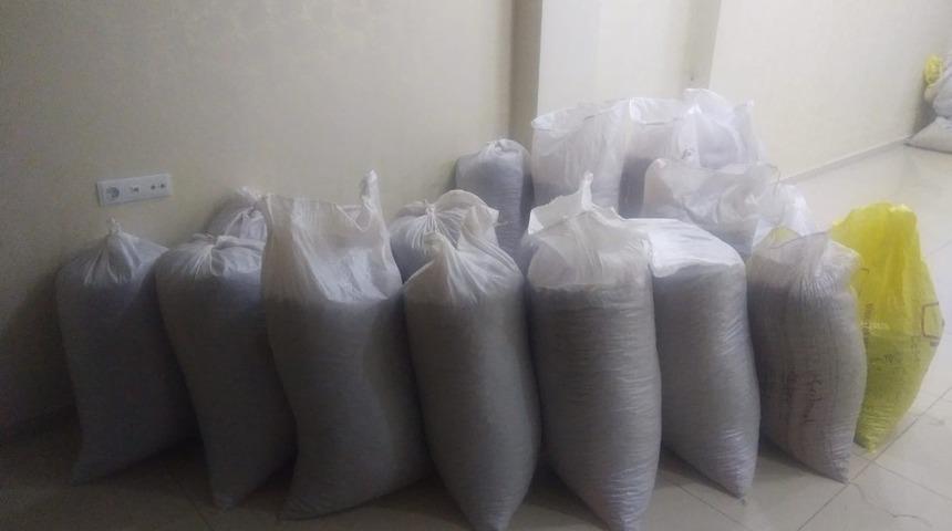 Fındık hırsızları yakalandı