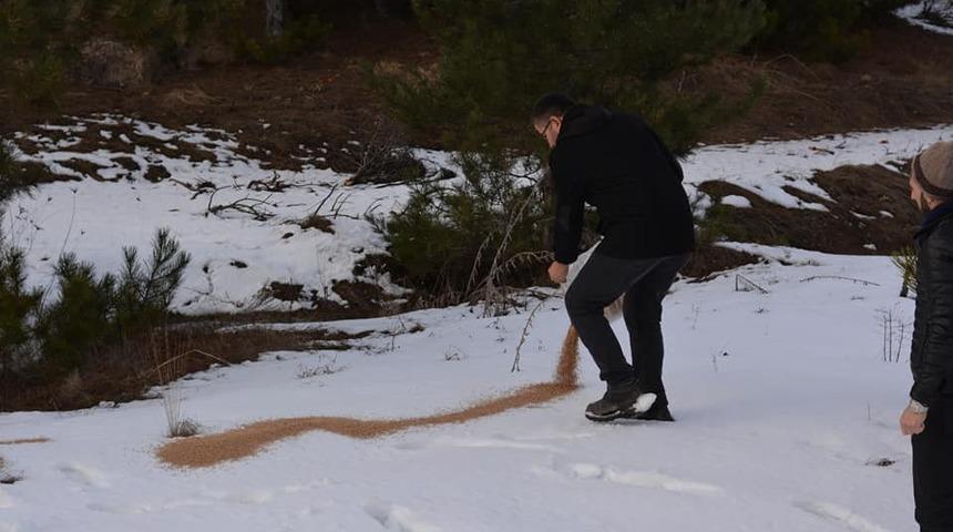 Kümbetli gençler yaban hayvanları için doğaya yem bıraktı