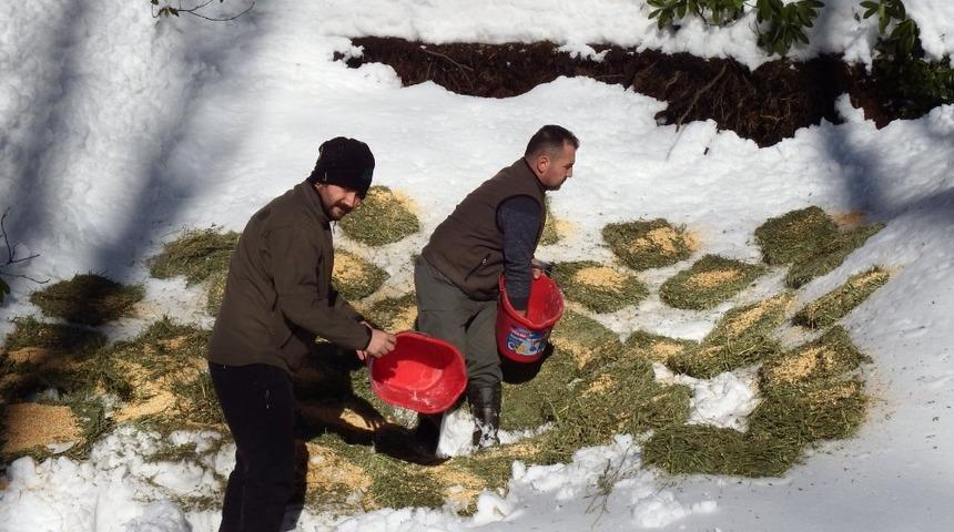Yaban hayvanları unutulmadı
