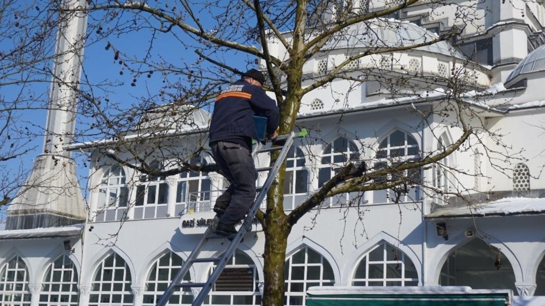 Kuş evleri Akyazı&rsquo;ya renk kattı
