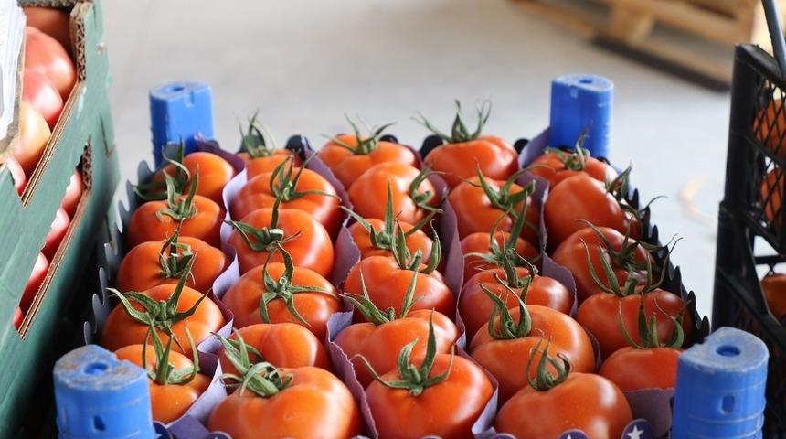 Yeni sebze ve meyve halinde satışlar başladı