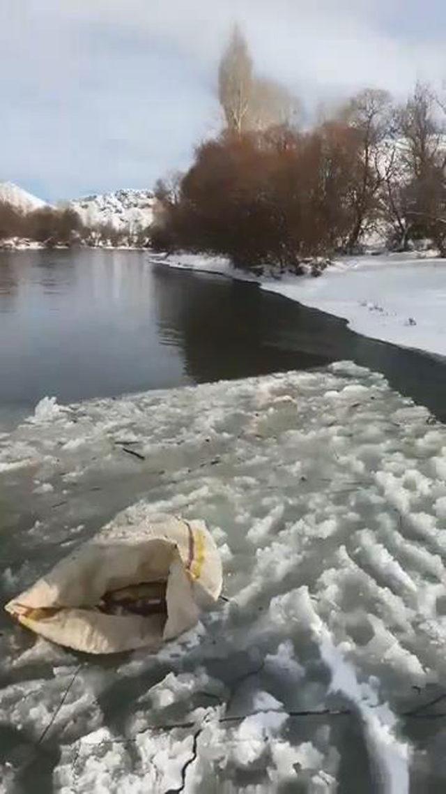 Donan nehirde tehlikeli balık avı