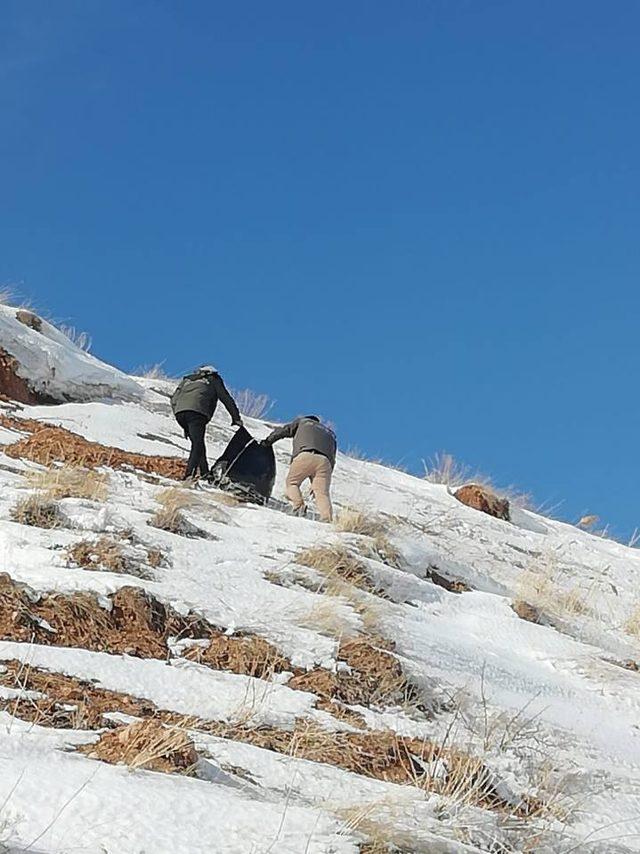 Van’da yaban hayvanlarına yem desteği