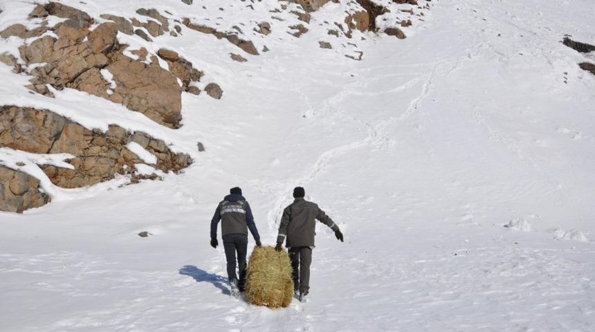 Bing&ouml;l&rsquo;de yaban hayvanları i&ccedil;in doğaya yem bırakıldı