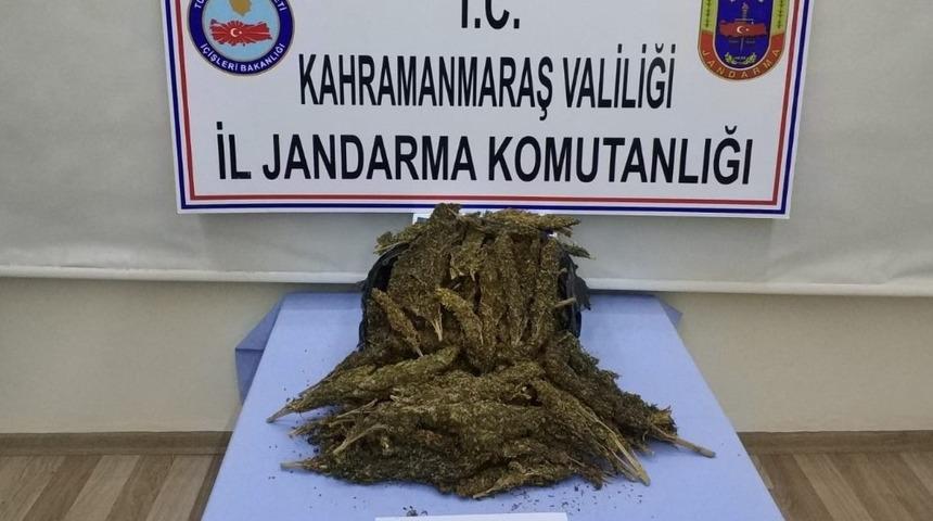 Kahramanmaraş’ta uyuşturucu operasyonu
