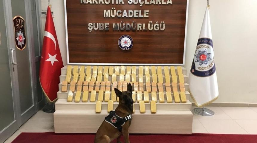 Van’da 41 kilo eroin ile 10 bin euro ele geçirildi