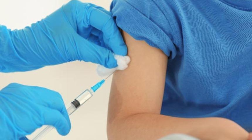 Romanya'da tehlike büyüyor! H1 virüsü gittikçe yayılıyor