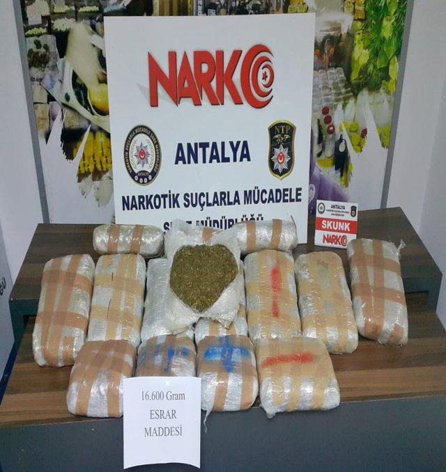 Antalya'da uyuşturucu operasyonları: 26 tutuklu