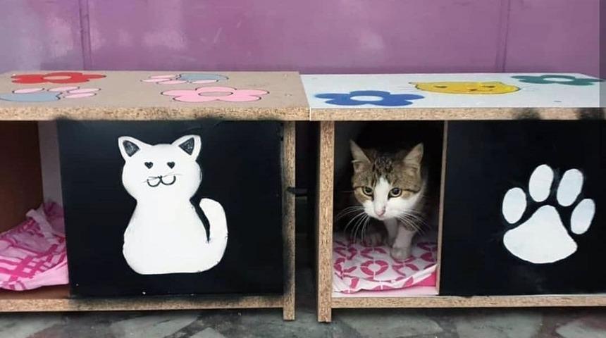 KYK Kız Yurdu &ouml;ğrencilerinden kedilere sıcak yuva